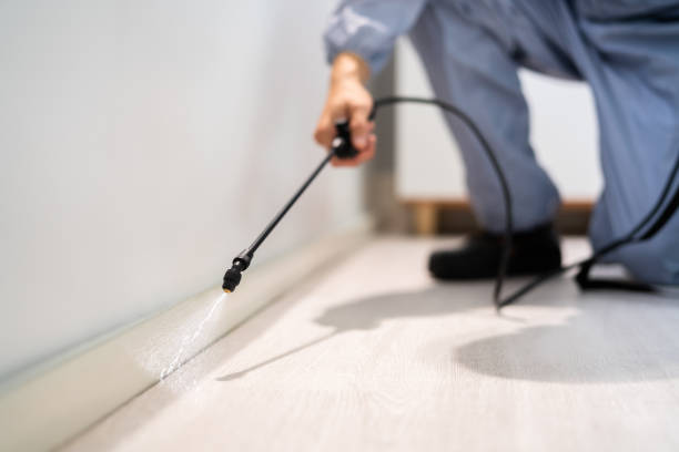 Licensed Pest Control service in Seat Pleasant, MD - Show Me Pest Control