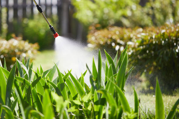 24/7 Emergency Mosquito Control experts in Seat Pleasant, MD