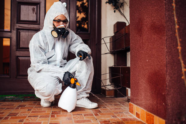 Reliable Mosquito Control contractor in Seat Pleasant, MD by Show Me Pest Control