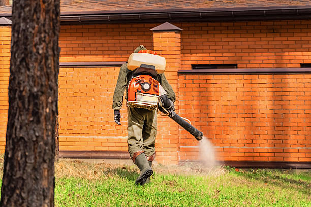 Top rated local Mosquito Control specialists in Seat Pleasant, MD